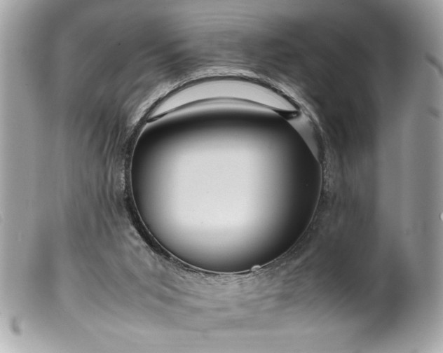 X0000099530015200805301449