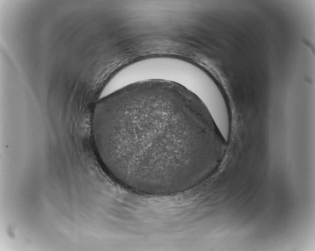 X0000099530017200805301449