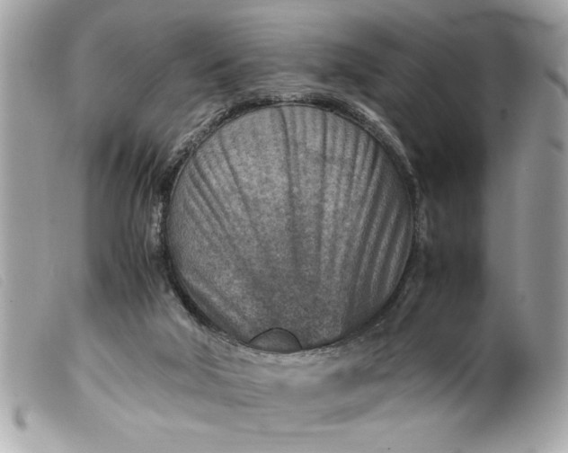 X0000099530018200805301449