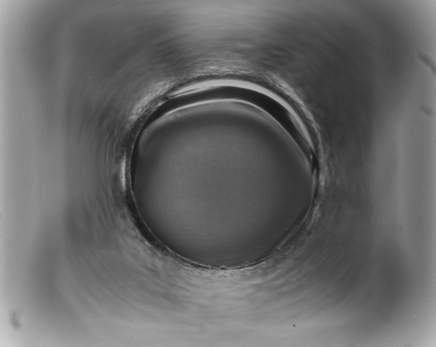 X0000099530019200805301449