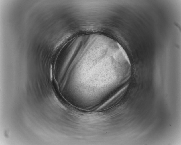 X0000099530020200805301449