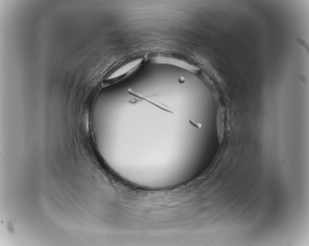 X0000099530021200805301449