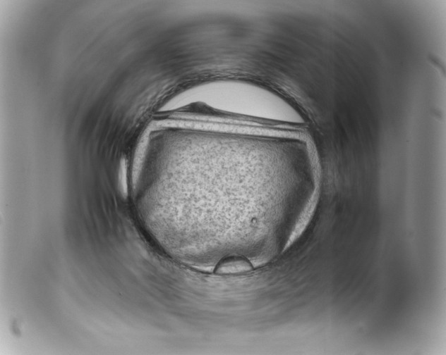 X0000099530022200805301449