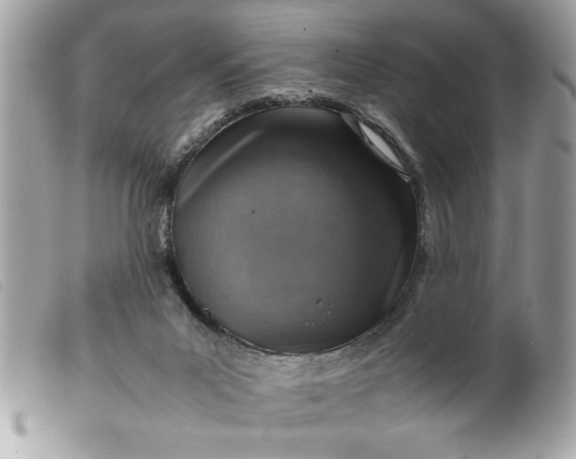 X0000099530023200805301449