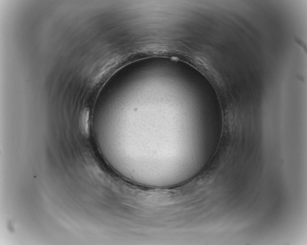 X0000099530024200805301449