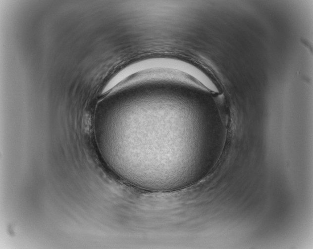 X0000099530025200805301449