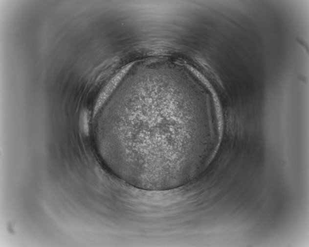 X0000099530026200805301449