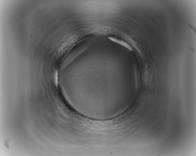 X0000099530027200805301449