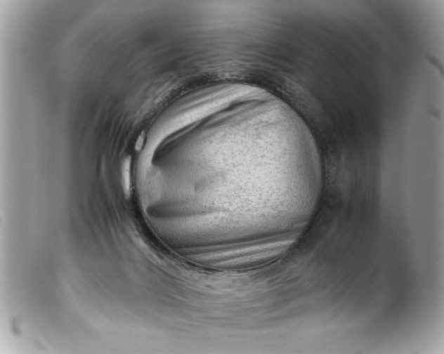 X0000099530028200805301449