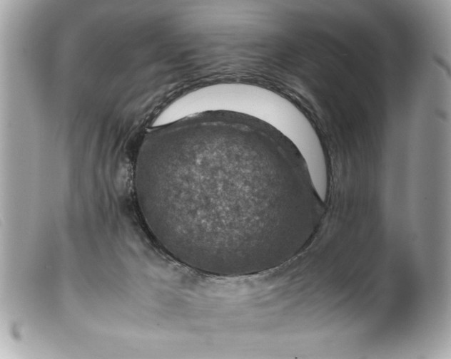 X0000099530029200805301449