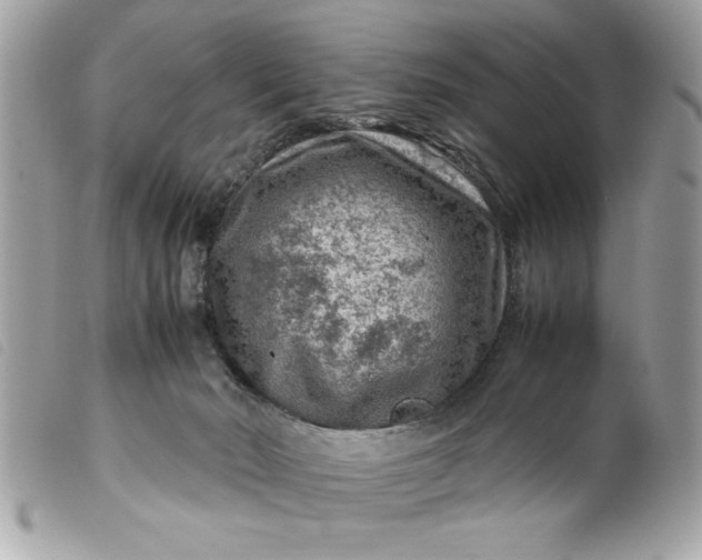 X0000099530030200805301449