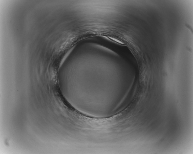 X0000099530031200805301449