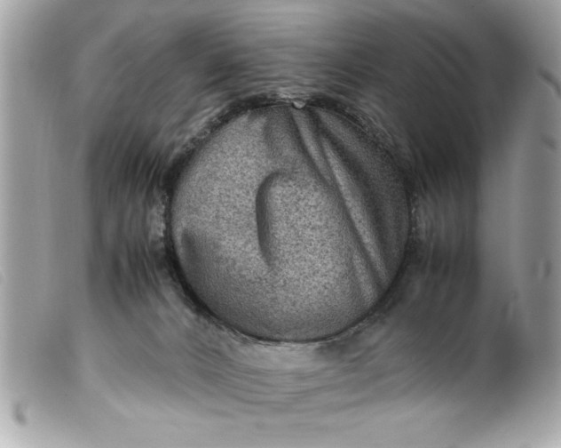 X0000099530032200805301449