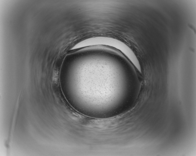 X0000099530033200805301449