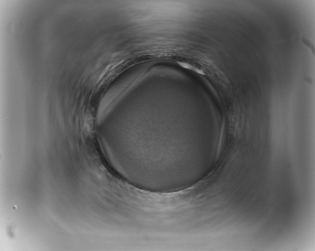 X0000099530035200805301449