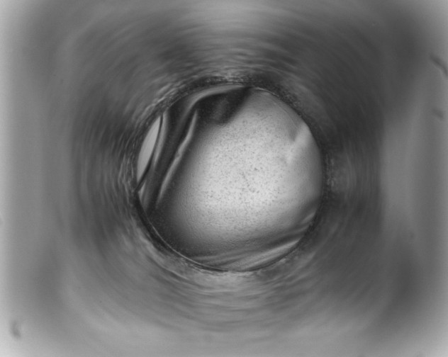 X0000099530036200805301449