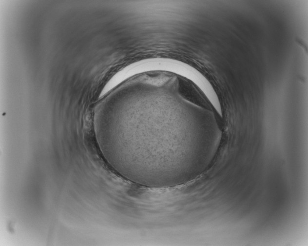 X0000099530037200805301449