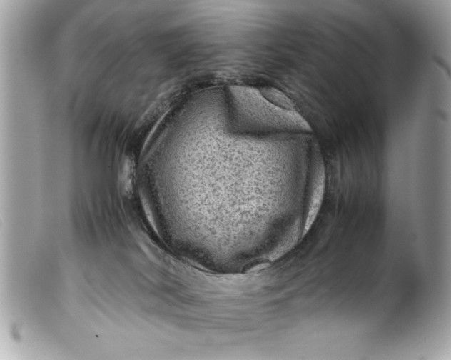 X0000099530038200805301449