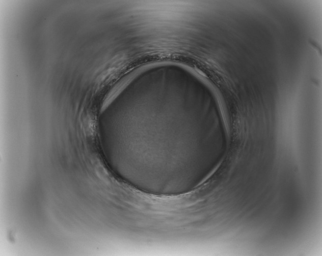 X0000099530039200805301449