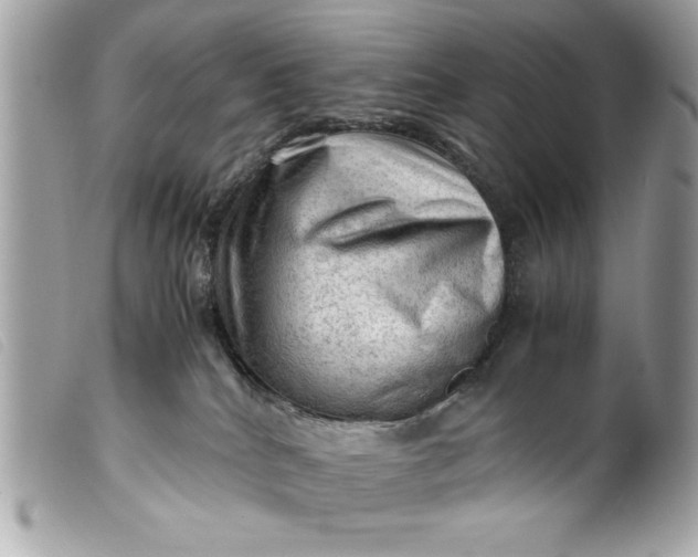 X0000099530040200805301449