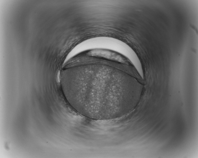 X0000099530041200805301449