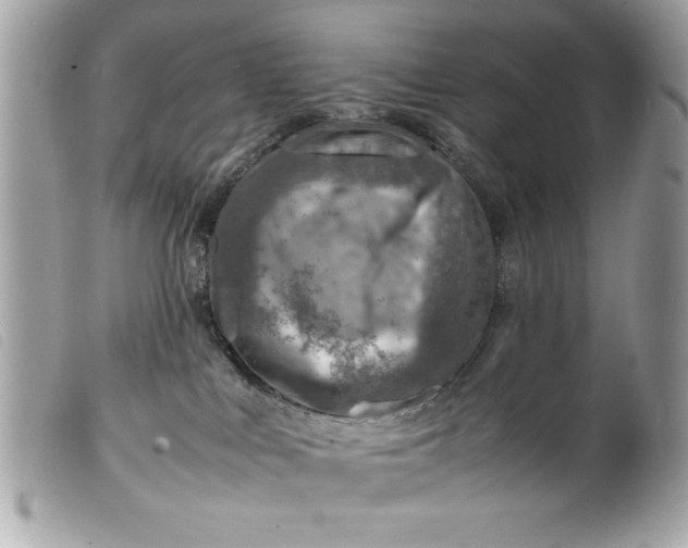 X0000099530043200805301449