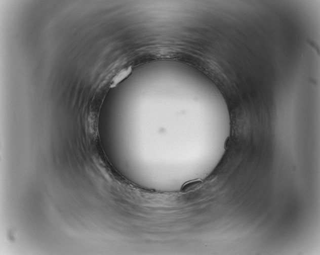 X0000099530044200805301449