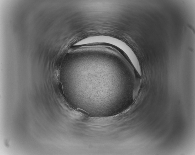 X0000099530045200805301449