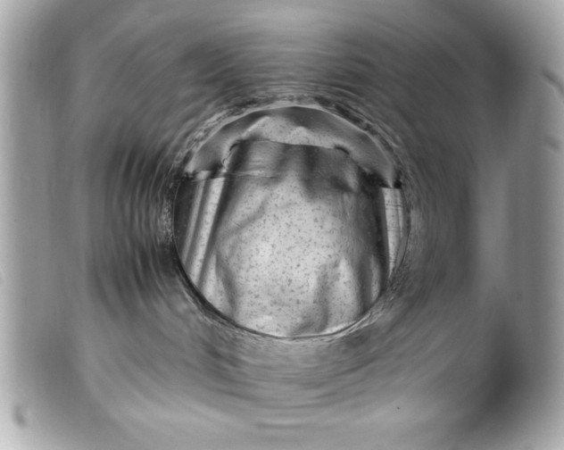 X0000099530048200805301449