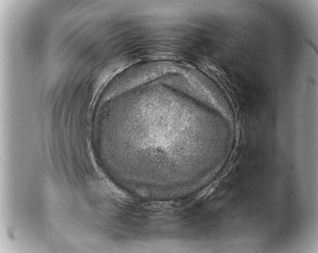 X0000099530049200805301448