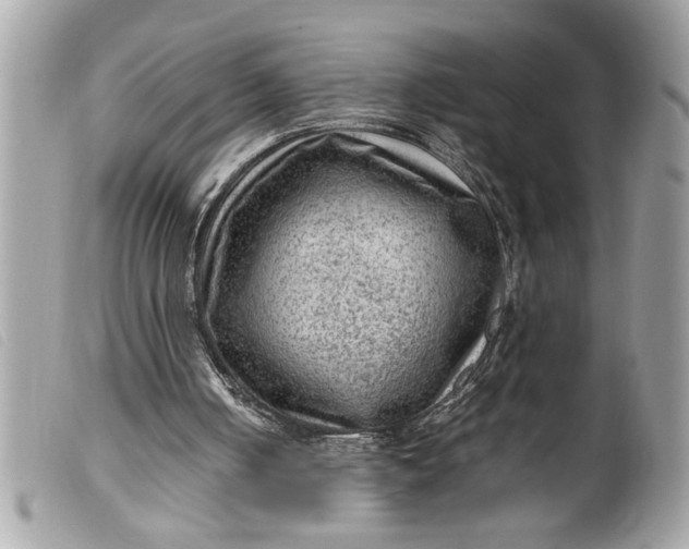 X0000099530050200805301448