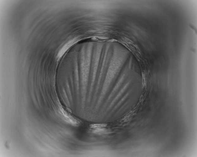 X0000099530051200805301448