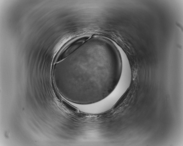 X0000099530052200805301448