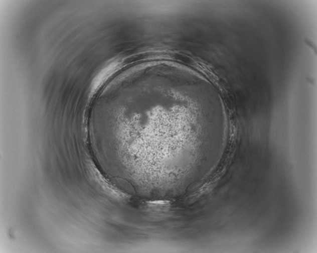 X0000099530053200805301448