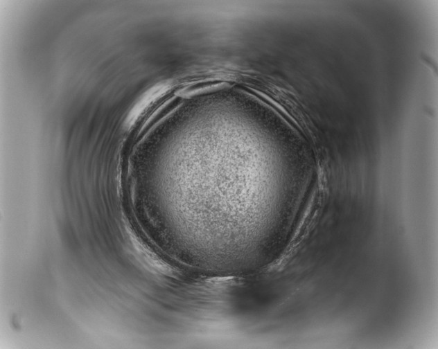 X0000099530054200805301448