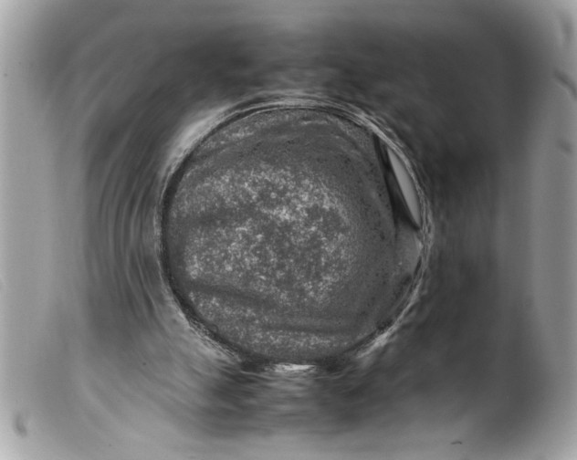 X0000099530055200805301448