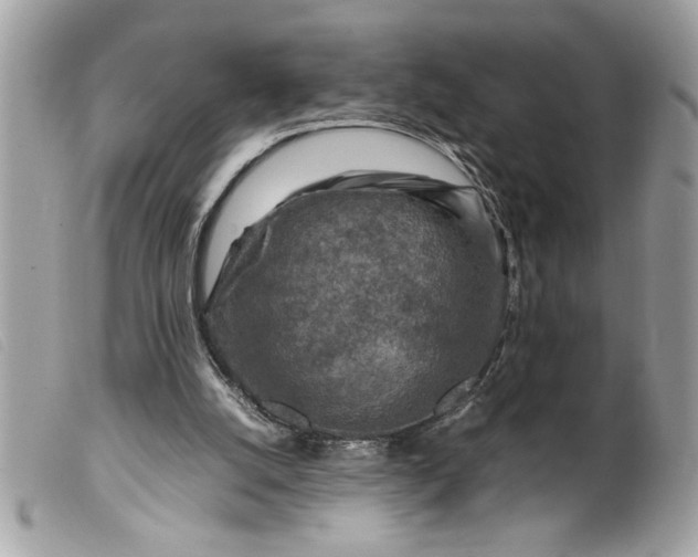 X0000099530056200805301448