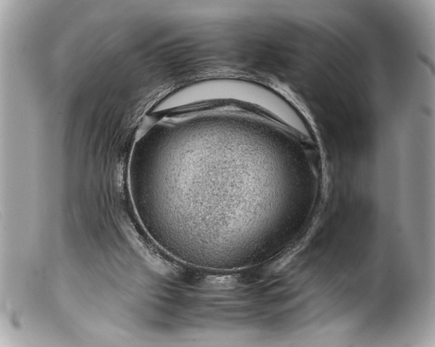 X0000099530057200805301448