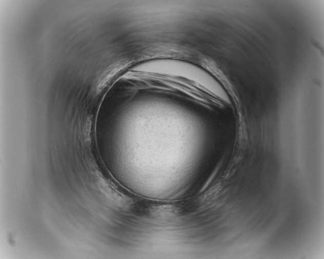 X0000099530058200805301448