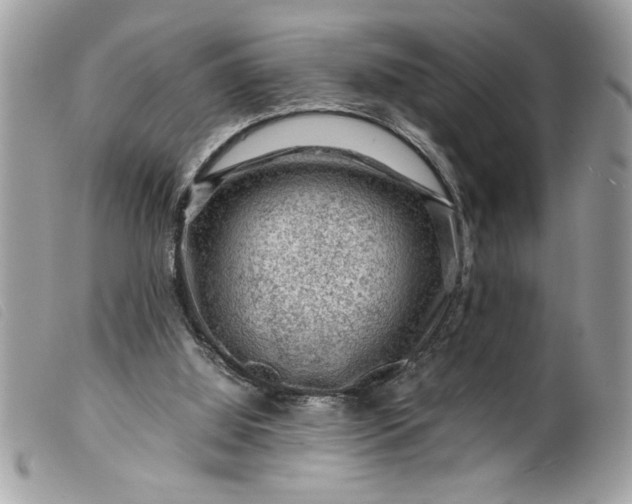 X0000099530060200805301448