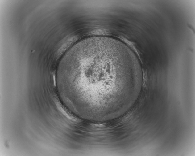 X0000099530061200805301448