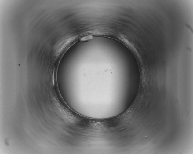 X0000099530062200805301448