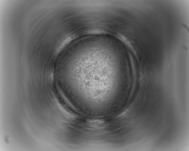 X0000099530063200805301448