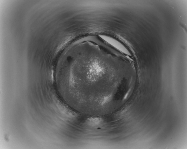 X0000099530067200805301448