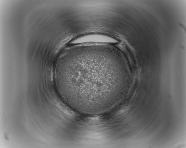 X0000099530068200805301448