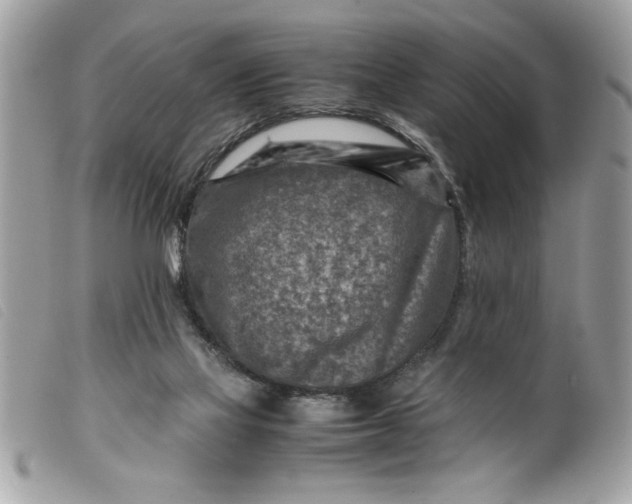 X0000099530069200805301448