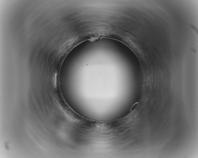 X0000099530070200805301448