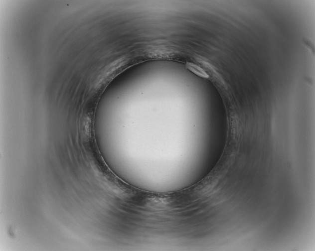 X0000099530071200805301448