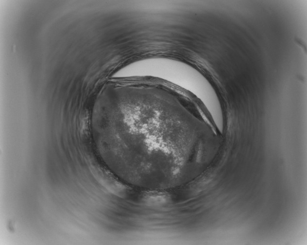 X0000099530073200805301448