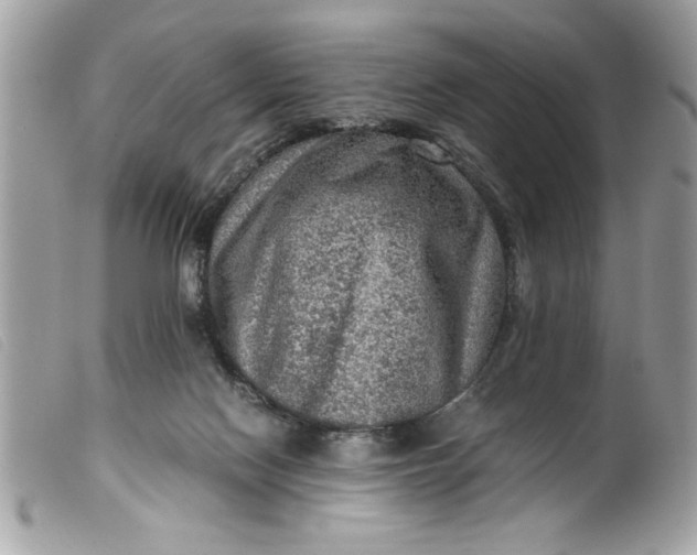 X0000099530074200805301448